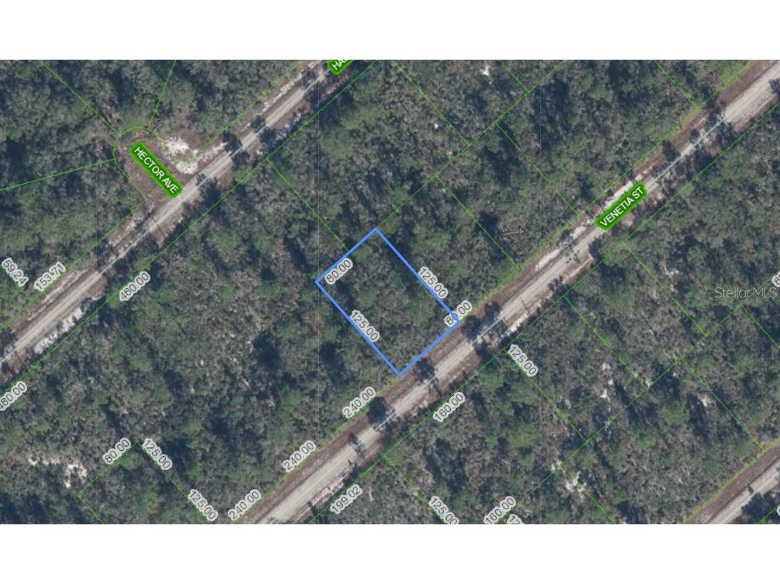 3535 Venetia Street Lake Placid FL 33852 S5135042 image1