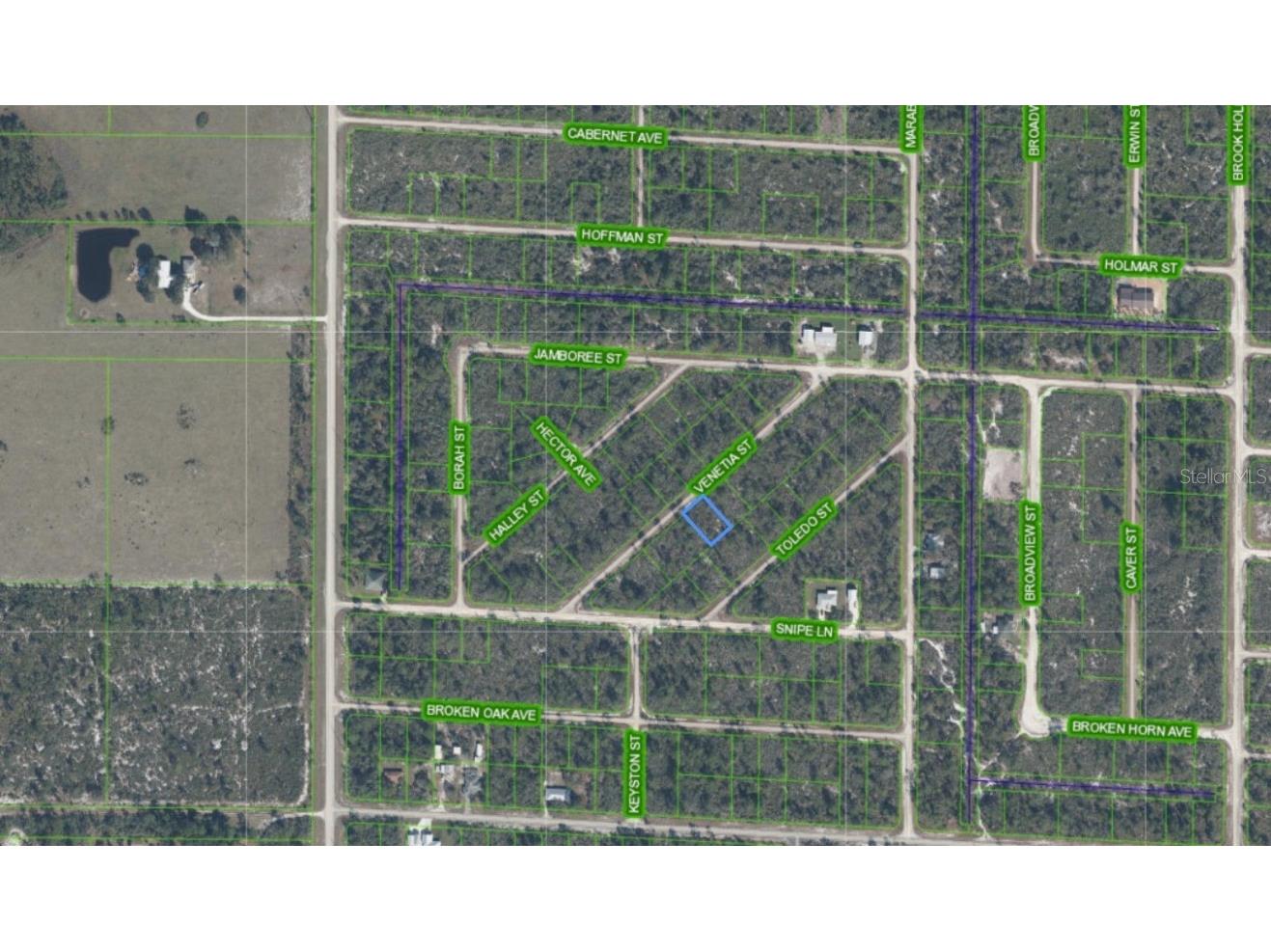 3535 Venetia Street Lake Placid FL 33852 S5135042 image2