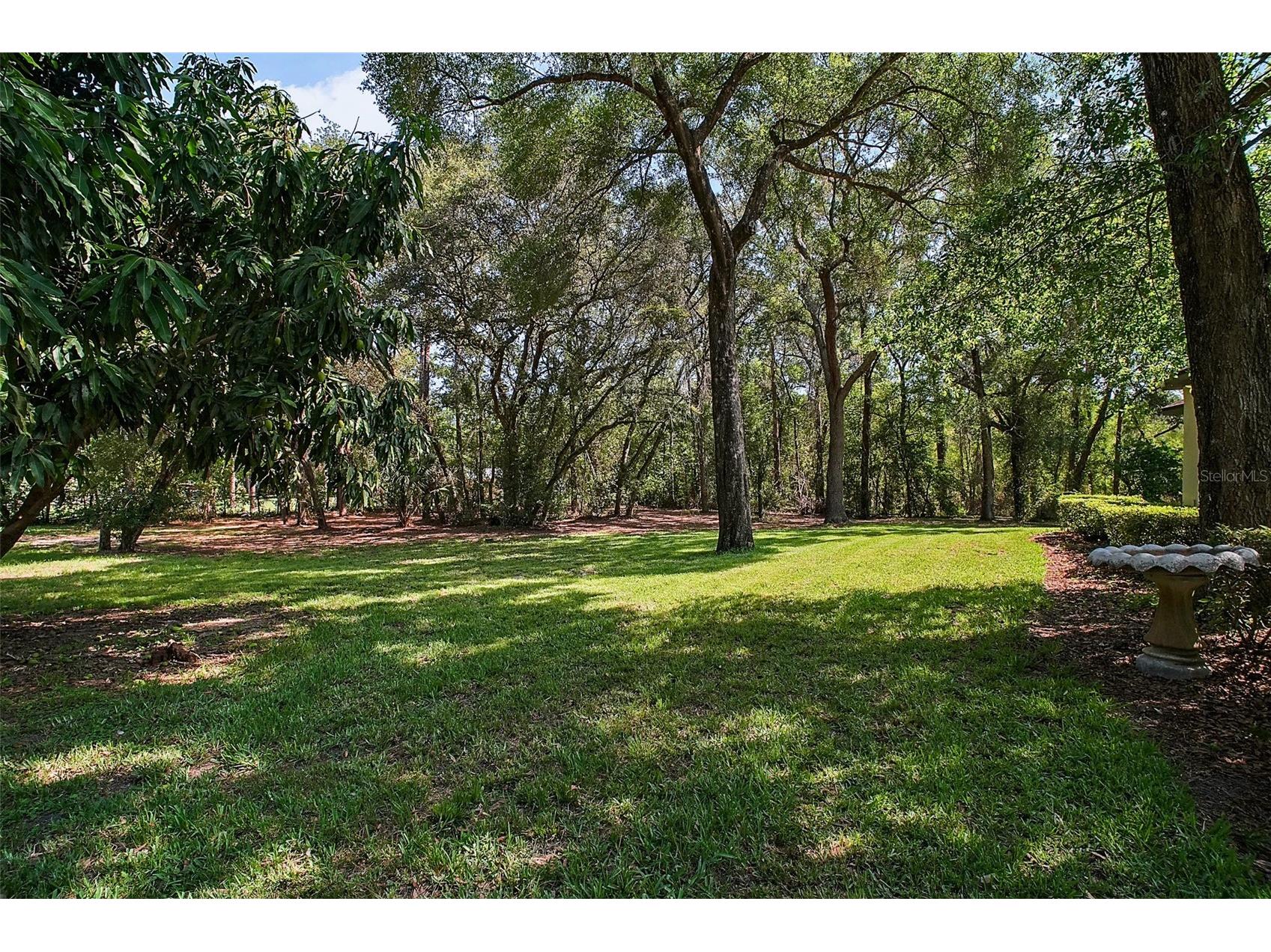 35350 County Road 439 Eustis FL 32736 R4910576 image40