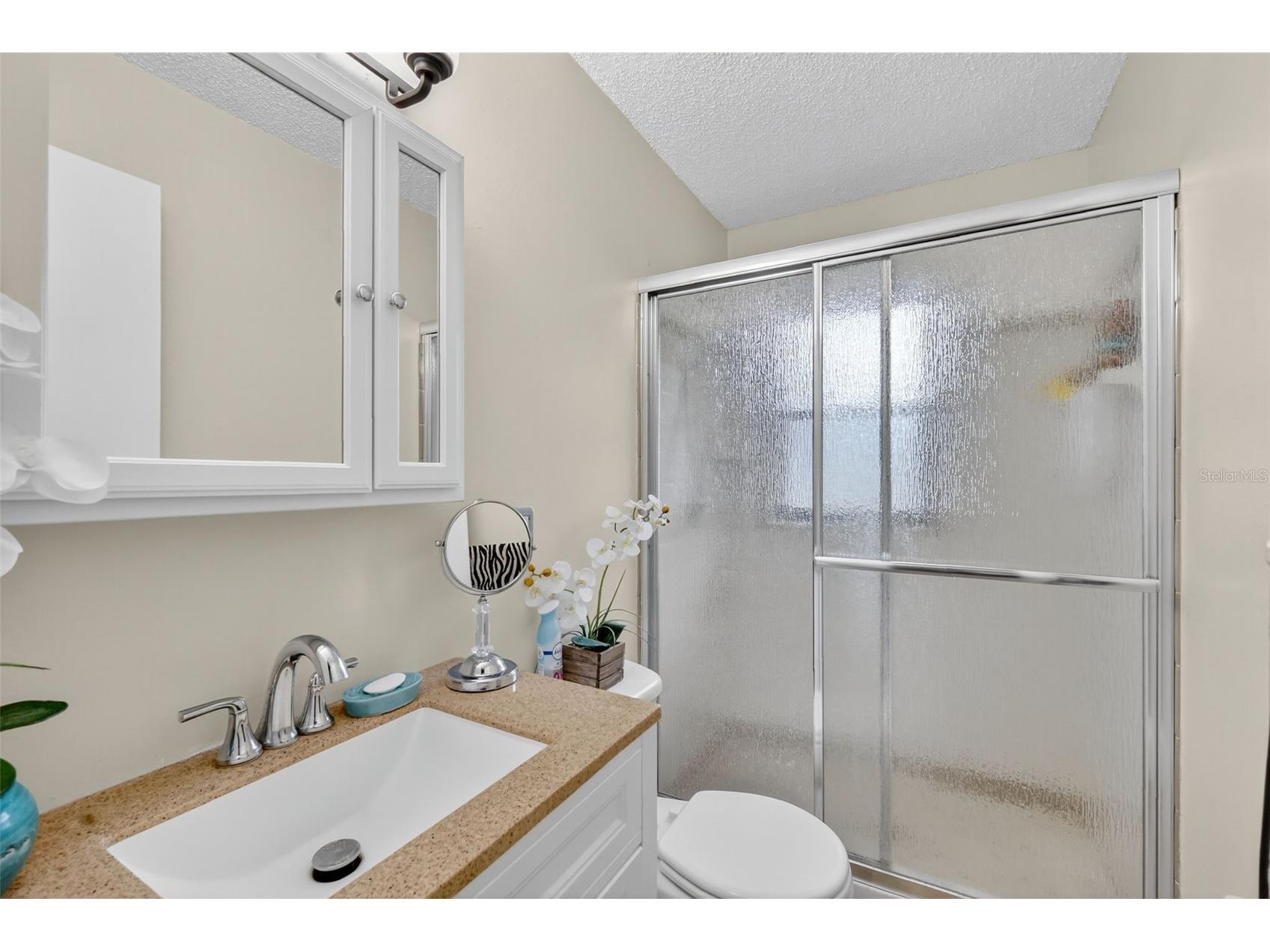 3536 Eagles Nest Road Fruitland Park FL 34731 O6381784 image19