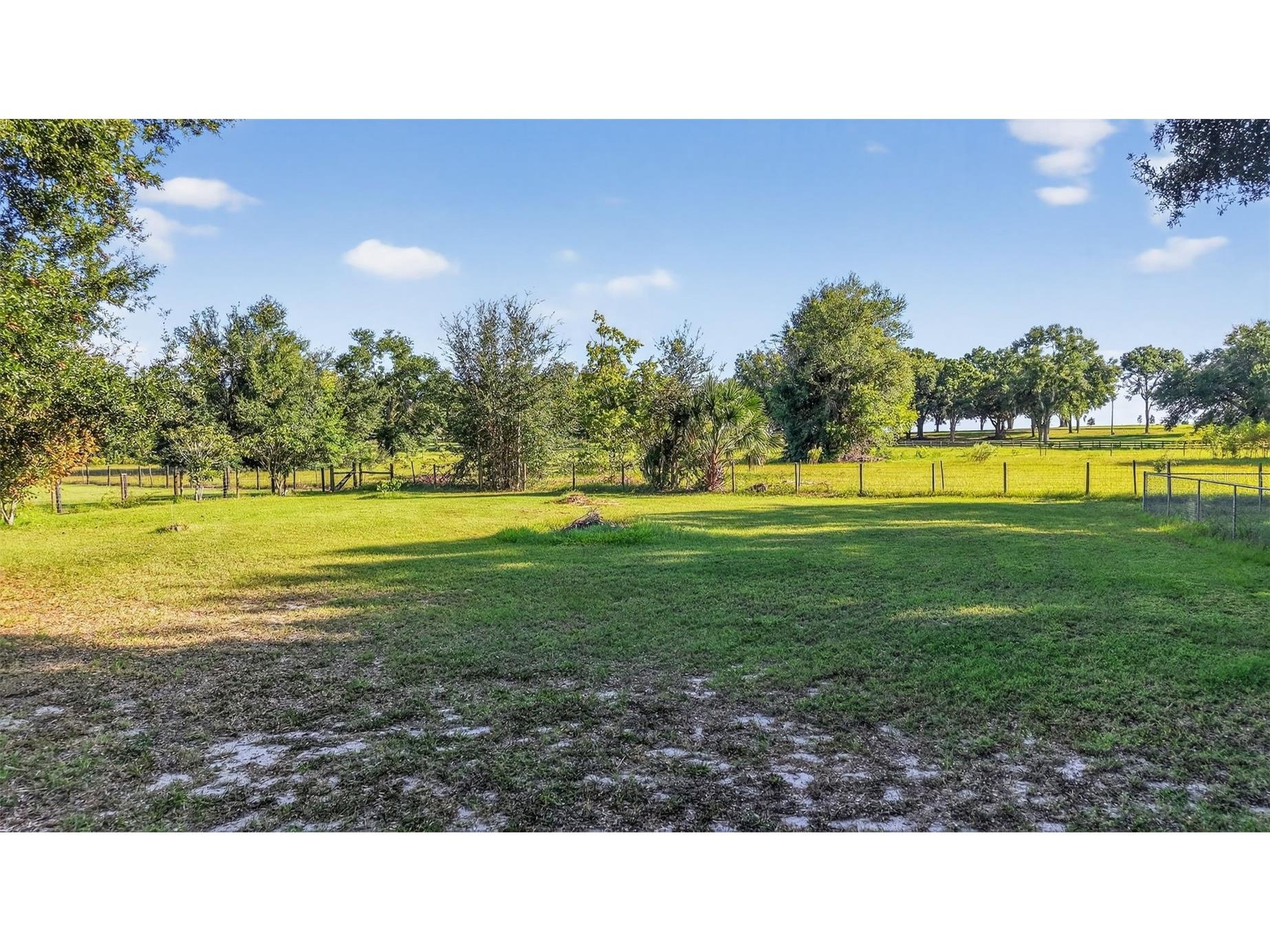 3536 Eagles Nest Road Fruitland Park FL 34731 O6381784 image45