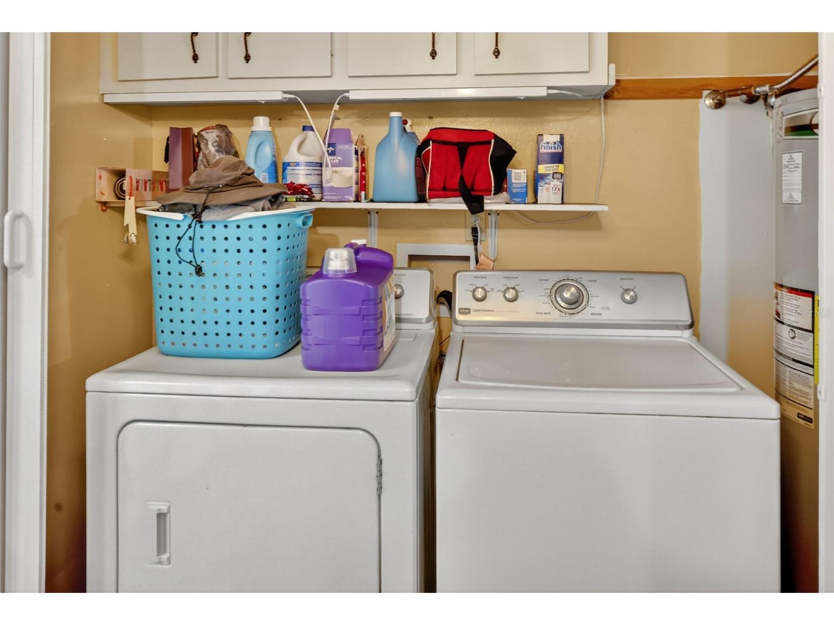 3536 Eagles Nest Road Fruitland Park FL 34731 O6381784 image9