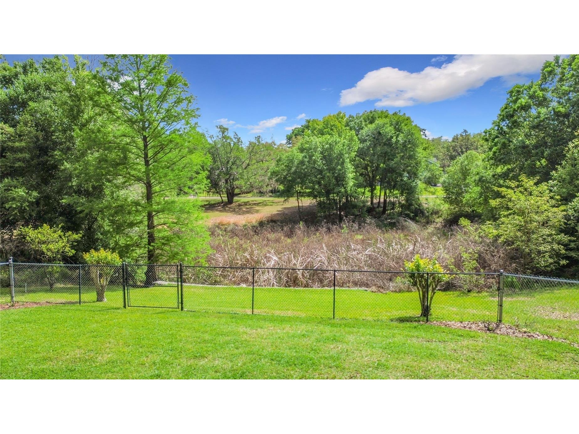 3536 Pine Tree Loop Haines City FL 33844 L4960719 image48