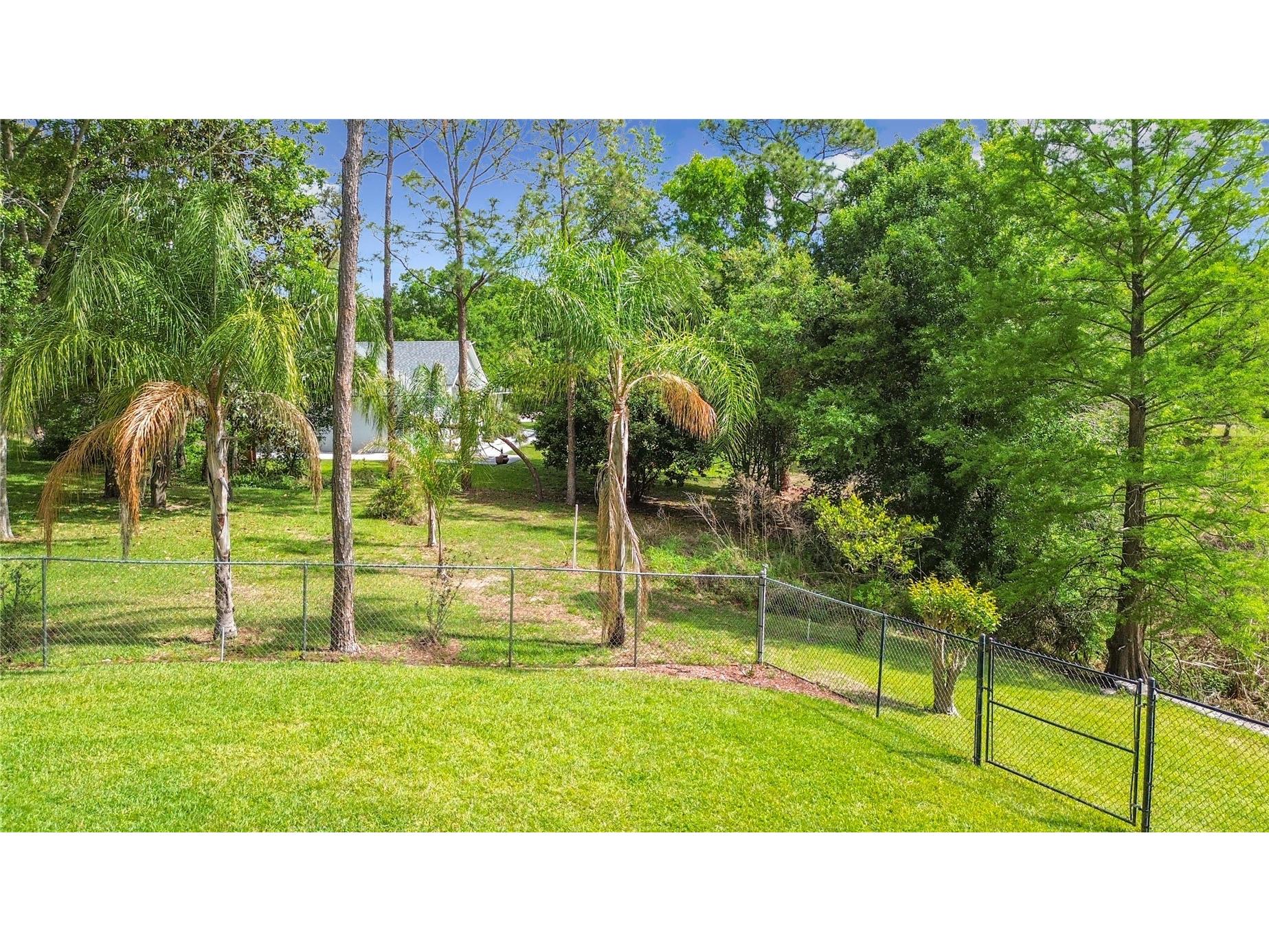 3536 Pine Tree Loop Haines City FL 33844 L4960719 image49