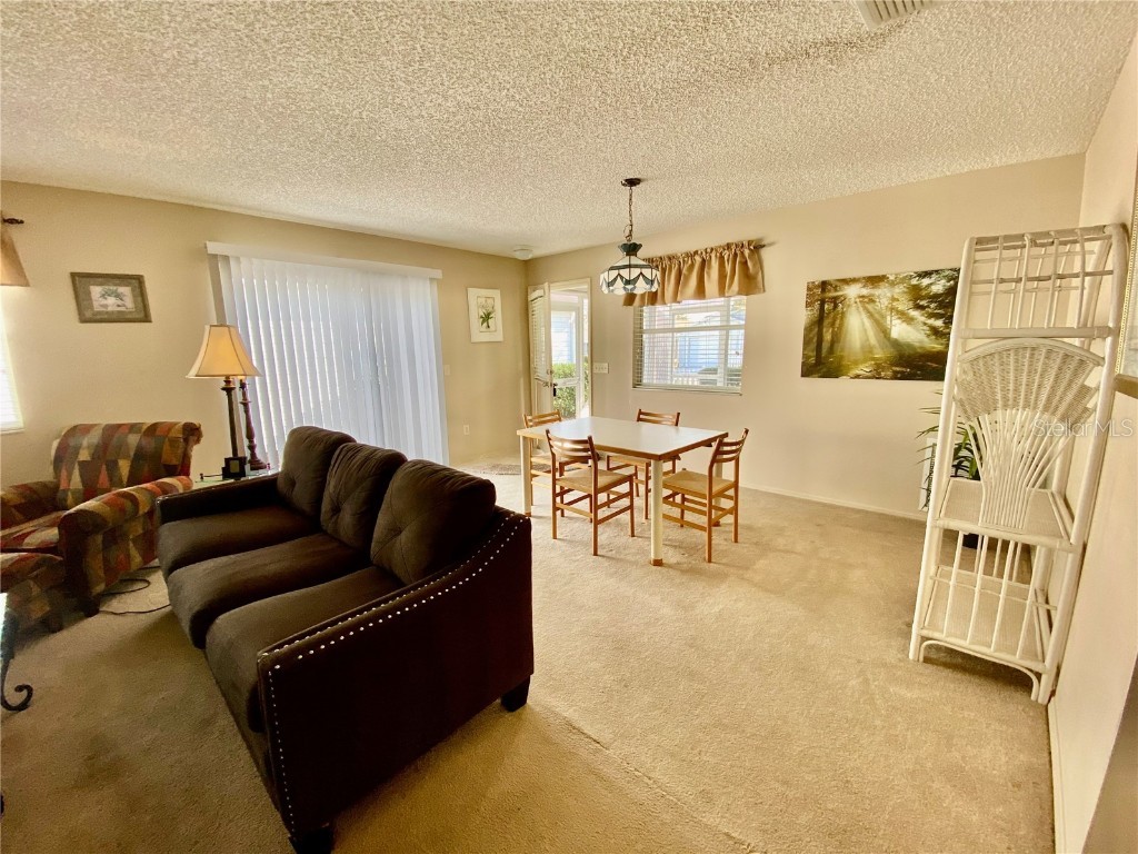 3536 Roanoke Street The Villages FL 32162 G5101733 image13