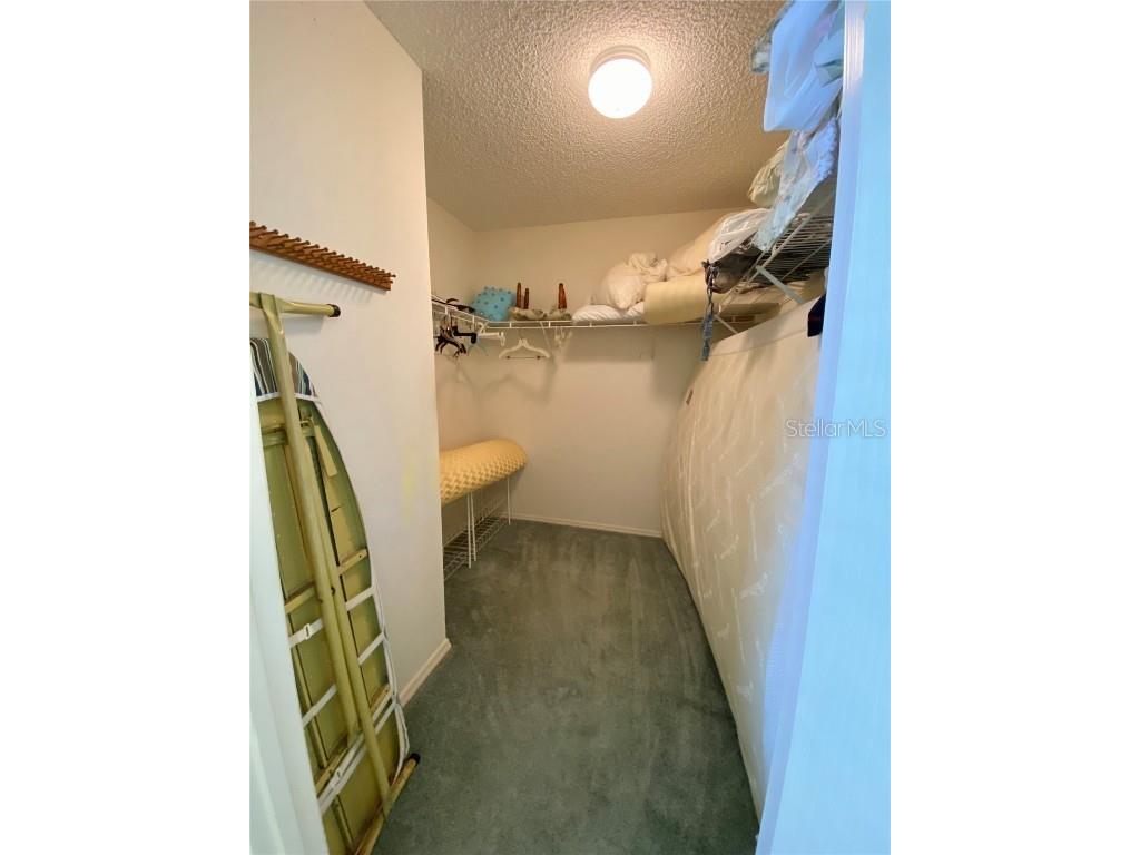 3536 Roanoke Street The Villages FL 32162 G5101733 image18