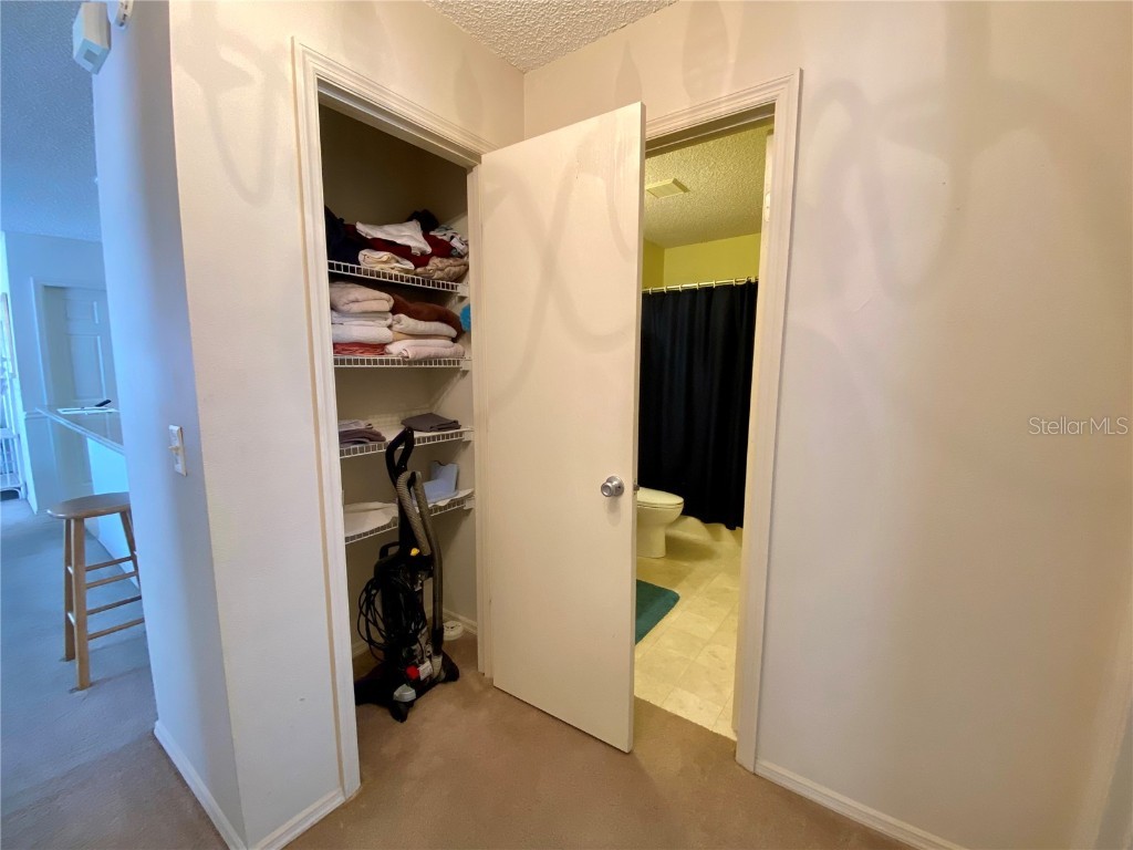 3536 Roanoke Street The Villages FL 32162 G5101733 image19