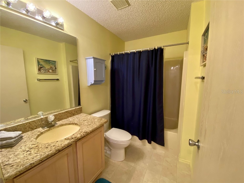 3536 Roanoke Street The Villages FL 32162 G5101733 image20