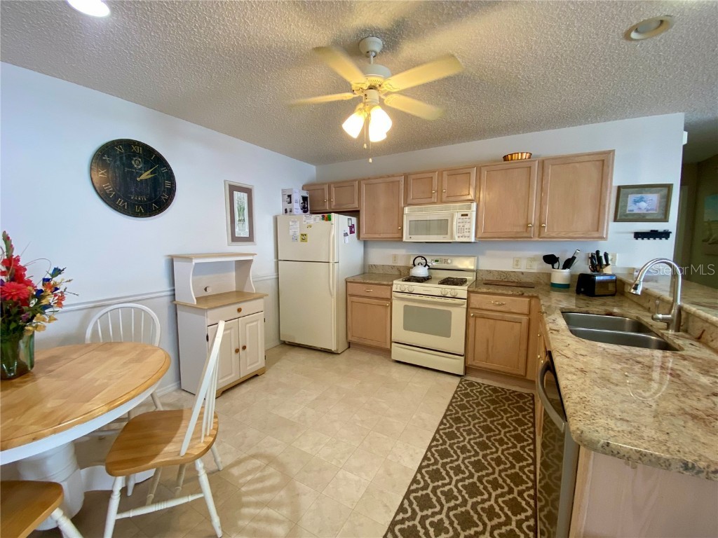 3536 Roanoke Street The Villages FL 32162 G5101733 image8