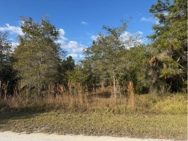 35361 Kramer Street Webster FL 33597 G5106031 image1