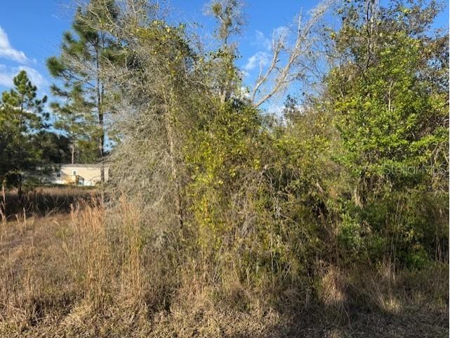 35361 Kramer Street Webster FL 33597 G5106031 image10