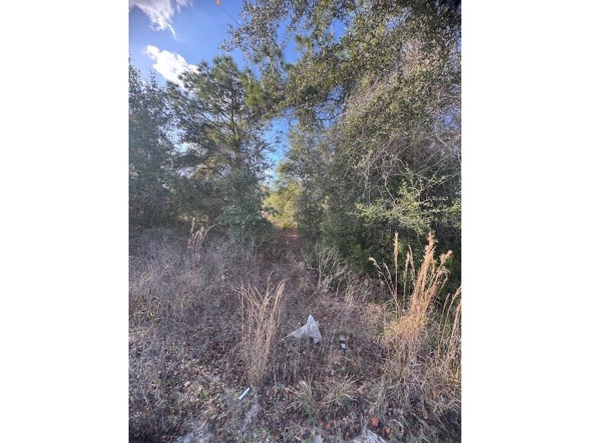 35361 Kramer Street Webster FL 33597 G5106031 image11