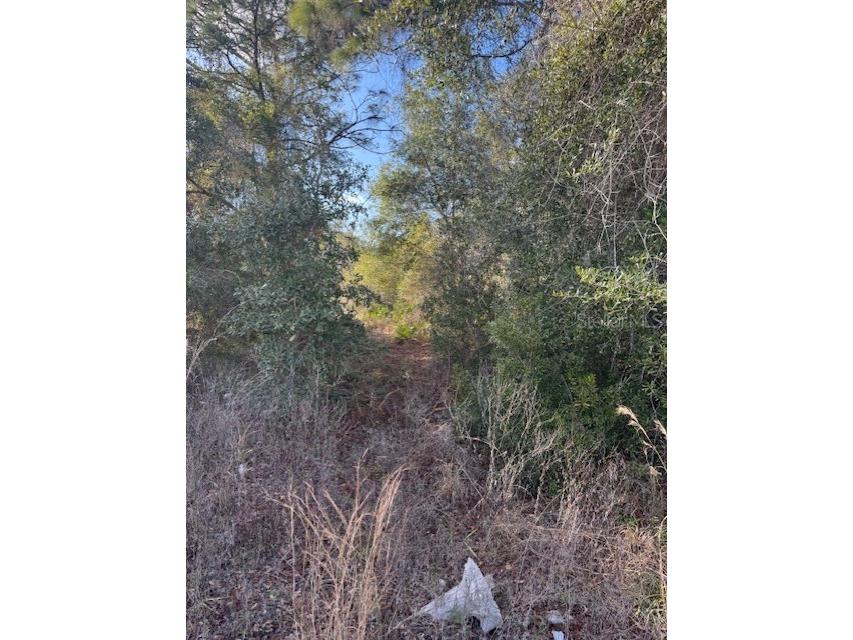 35361 Kramer Street Webster FL 33597 G5106031 image12