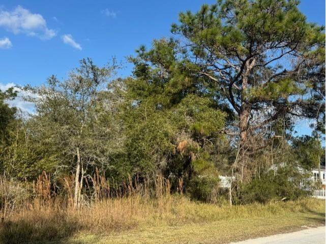 35361 Kramer Street Webster FL 33597 G5106031 image7