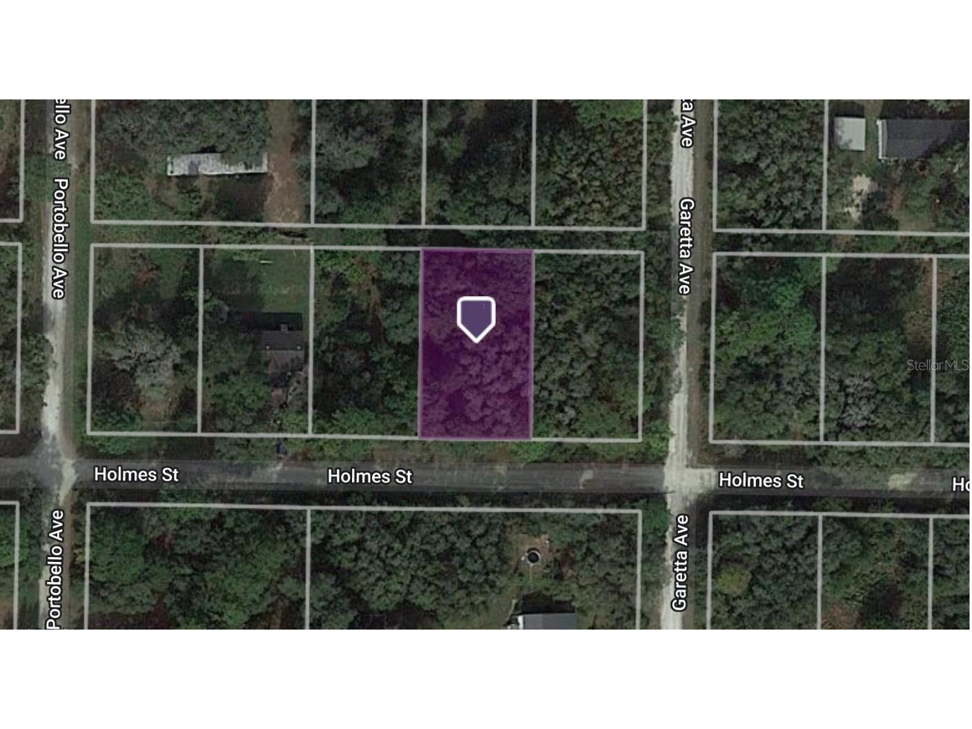 35363 Holmes Street Webster FL 33597 C7474651 image1