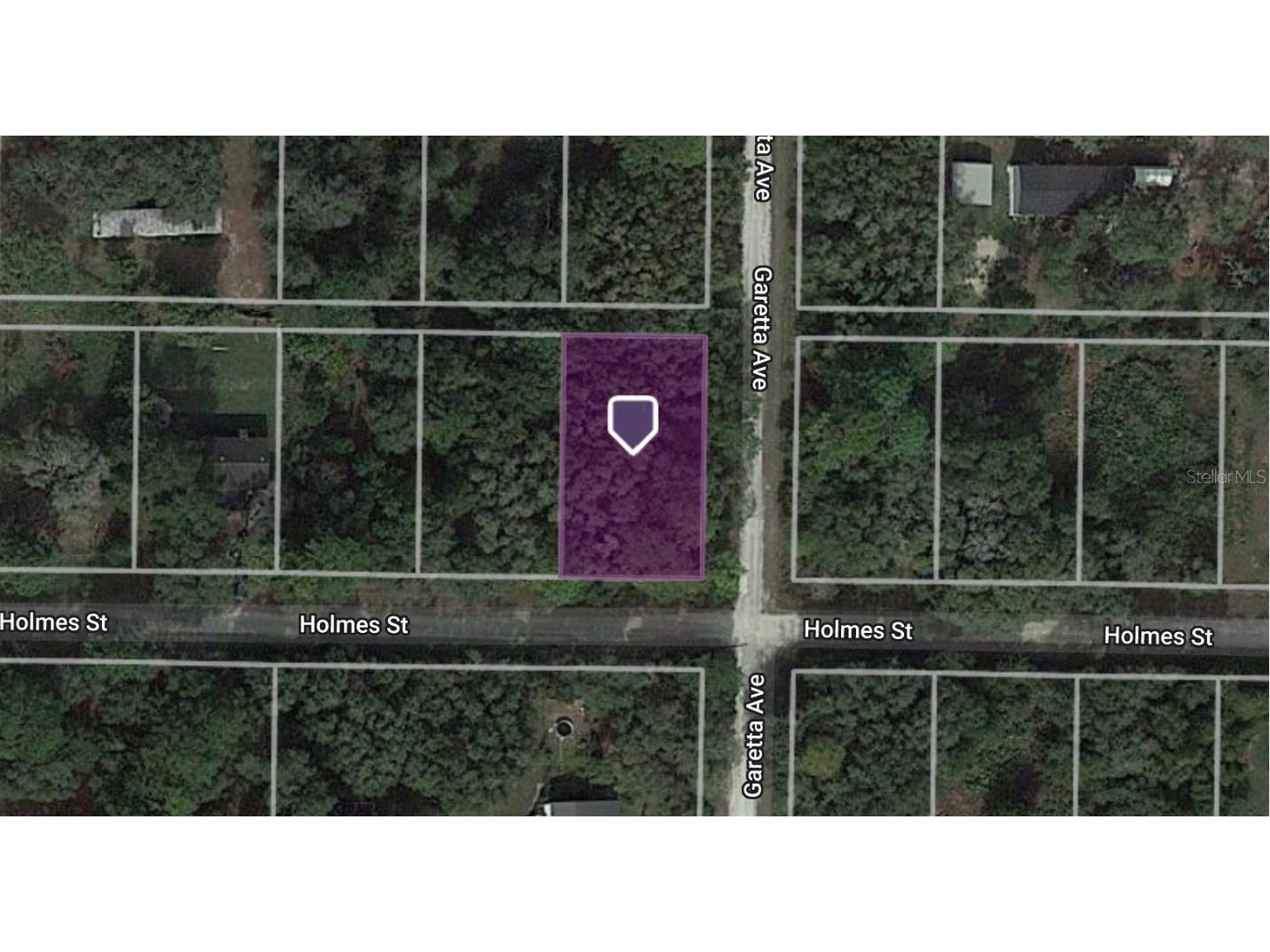 35365 Holmes Street Webster FL 33597 C7474649 image1