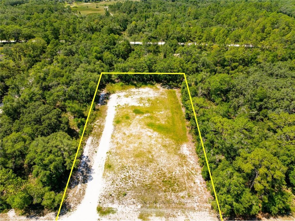 35366 Peanut Drive Webster FL 33597 T3529712 image1