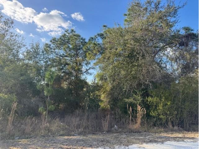 35367 Kramer Street Webster FL 33597 G5106029 image13