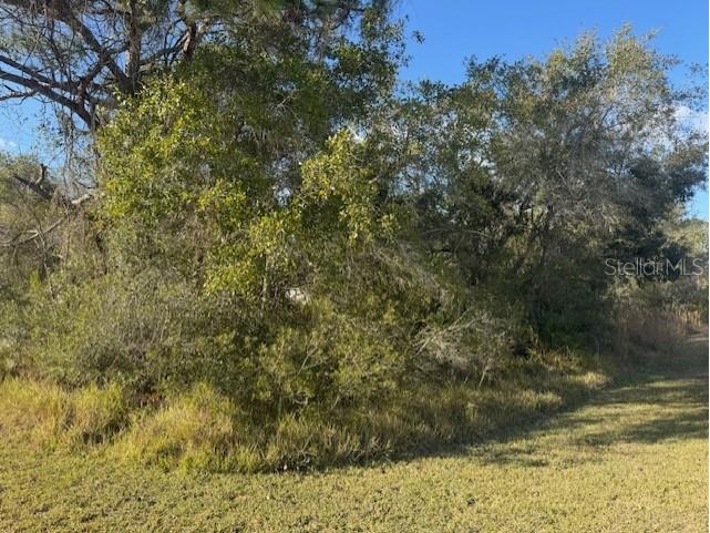 35367 Kramer Street Webster FL 33597 G5106029 image4