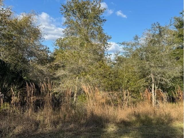 35367 Kramer Street Webster FL 33597 G5106029 image6