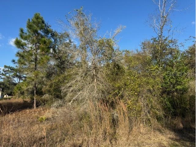 35367 Kramer Street Webster FL 33597 G5106029 image8