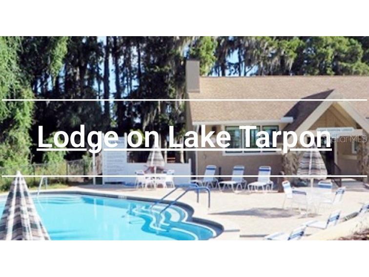 3537 Birkdale Lane Palm Harbor FL 34684 - LAKE TARPON TB8526264 image13