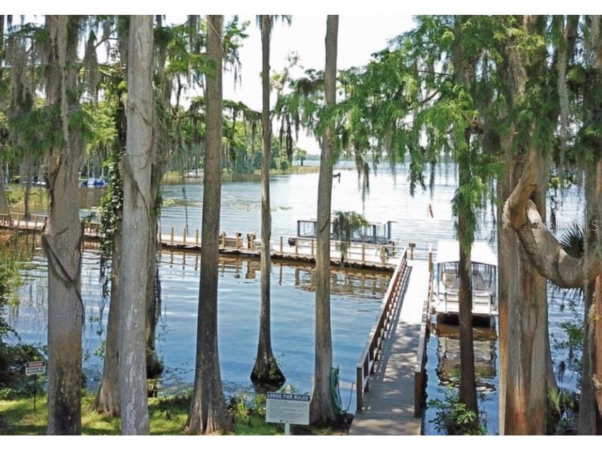 3537 Birkdale Lane Palm Harbor FL 34684 - LAKE TARPON TB8526264 image14