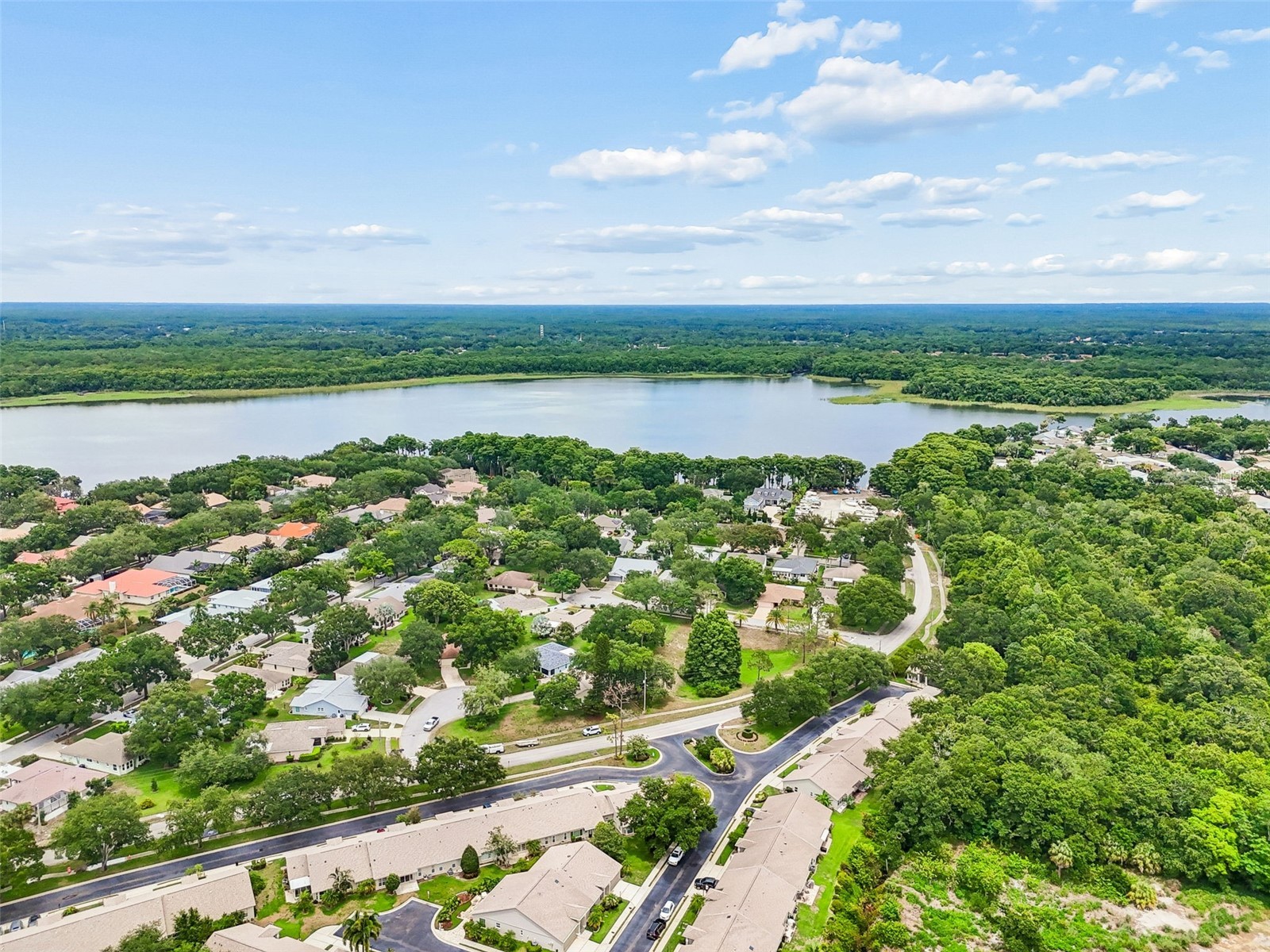 3537 Birkdale Lane Palm Harbor FL 34684 - LAKE TARPON TB8526264 image21