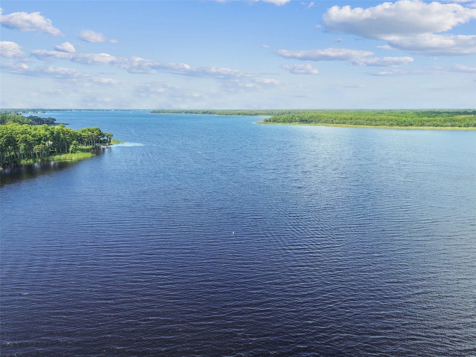 3537 Birkdale Lane Palm Harbor FL 34684 - LAKE TARPON TB8526264 image22