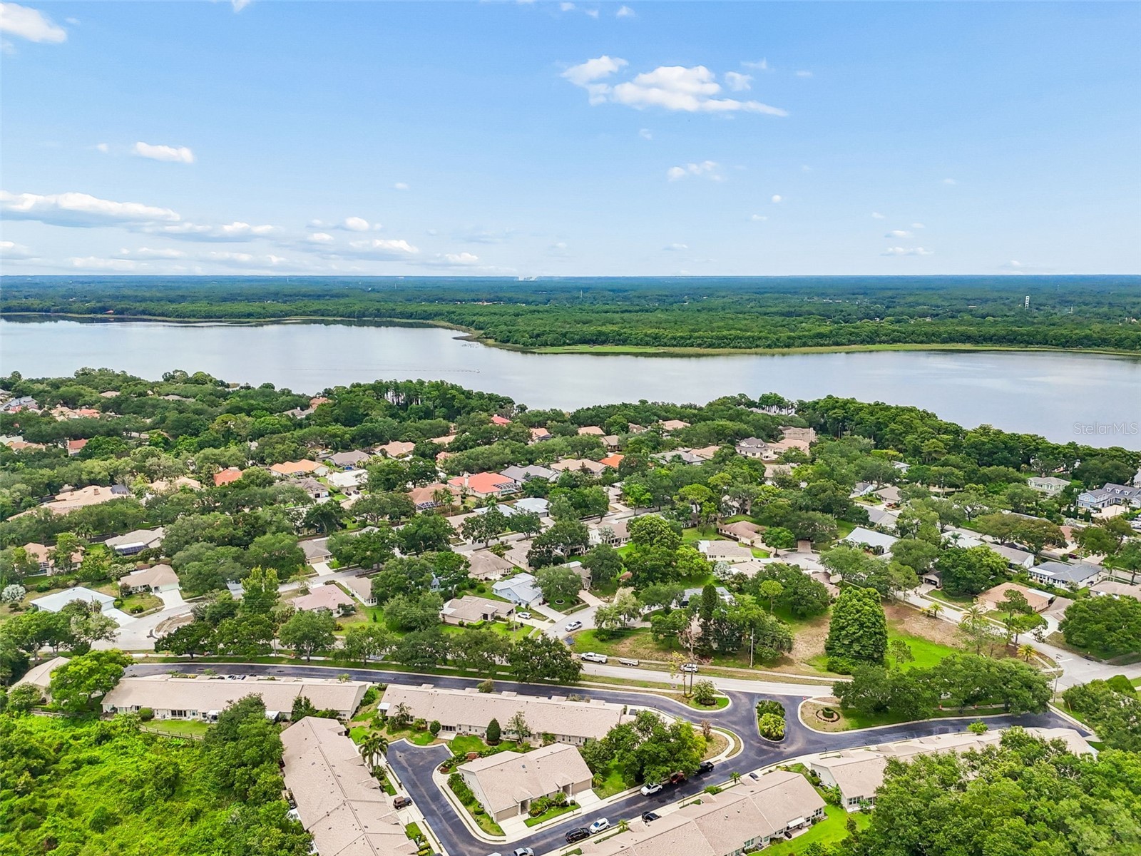 3537 Birkdale Lane Palm Harbor FL 34684 - LAKE TARPON TB8526264 image46
