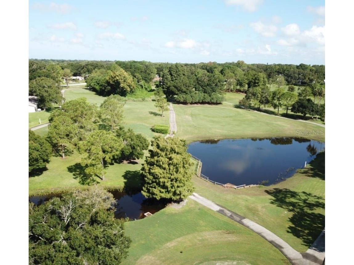 3537 Birkdale Lane Palm Harbor FL 34684 - LAKE TARPON TB8526264 image48