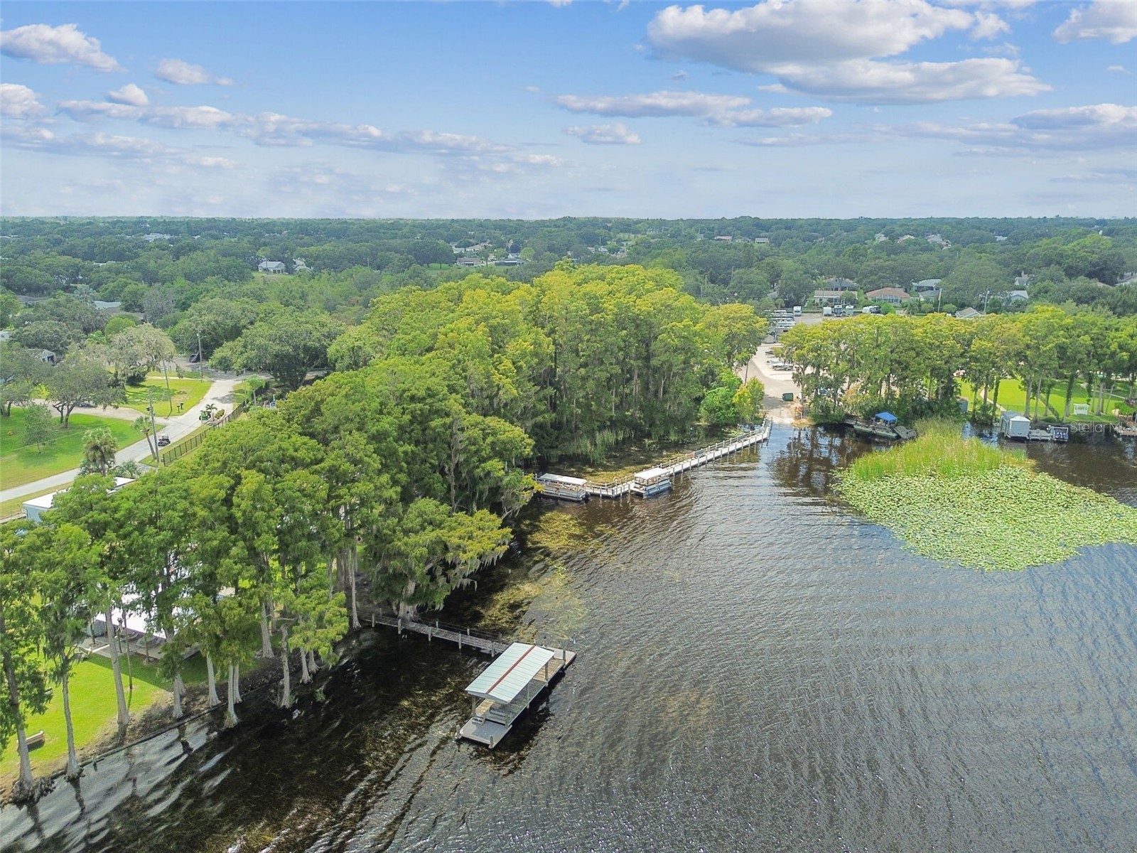 3537 Birkdale Lane Palm Harbor FL 34684 - LAKE TARPON TB8526264 image53