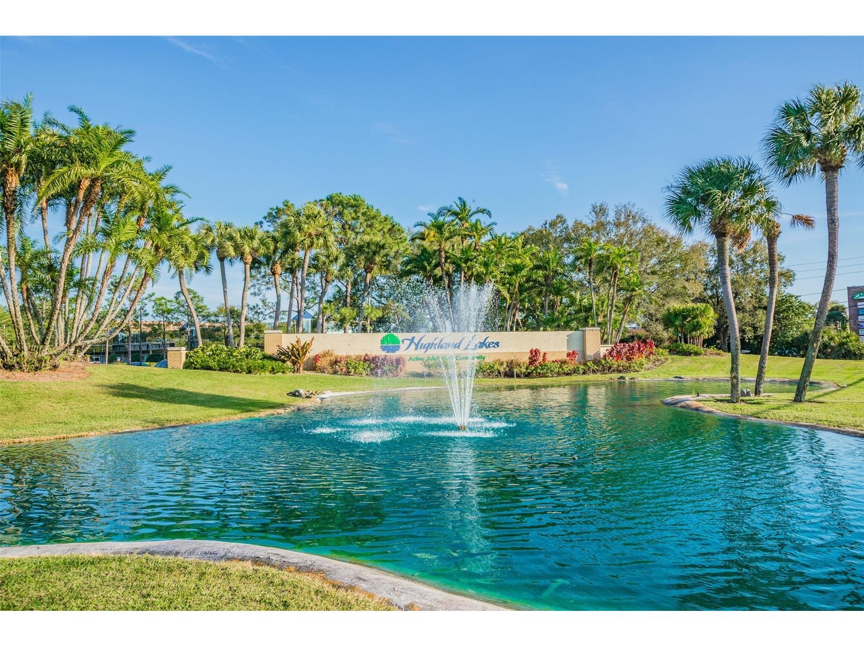 3537 Birkdale Lane Palm Harbor FL 34684 - LAKE TARPON TB8526264 image58