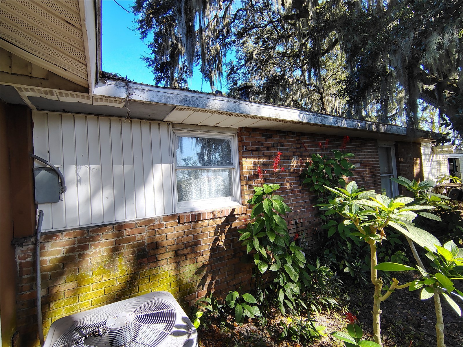 3537 E C 462 Wildwood FL 34785 G5106864 image12
