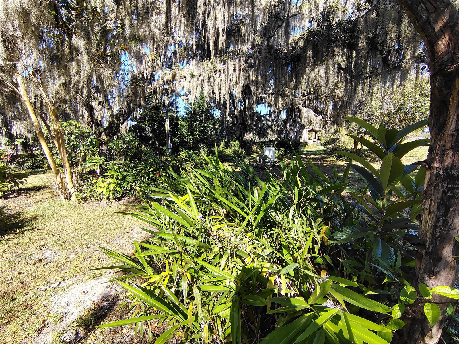 3537 E C 462 Wildwood FL 34785 G5106864 image19