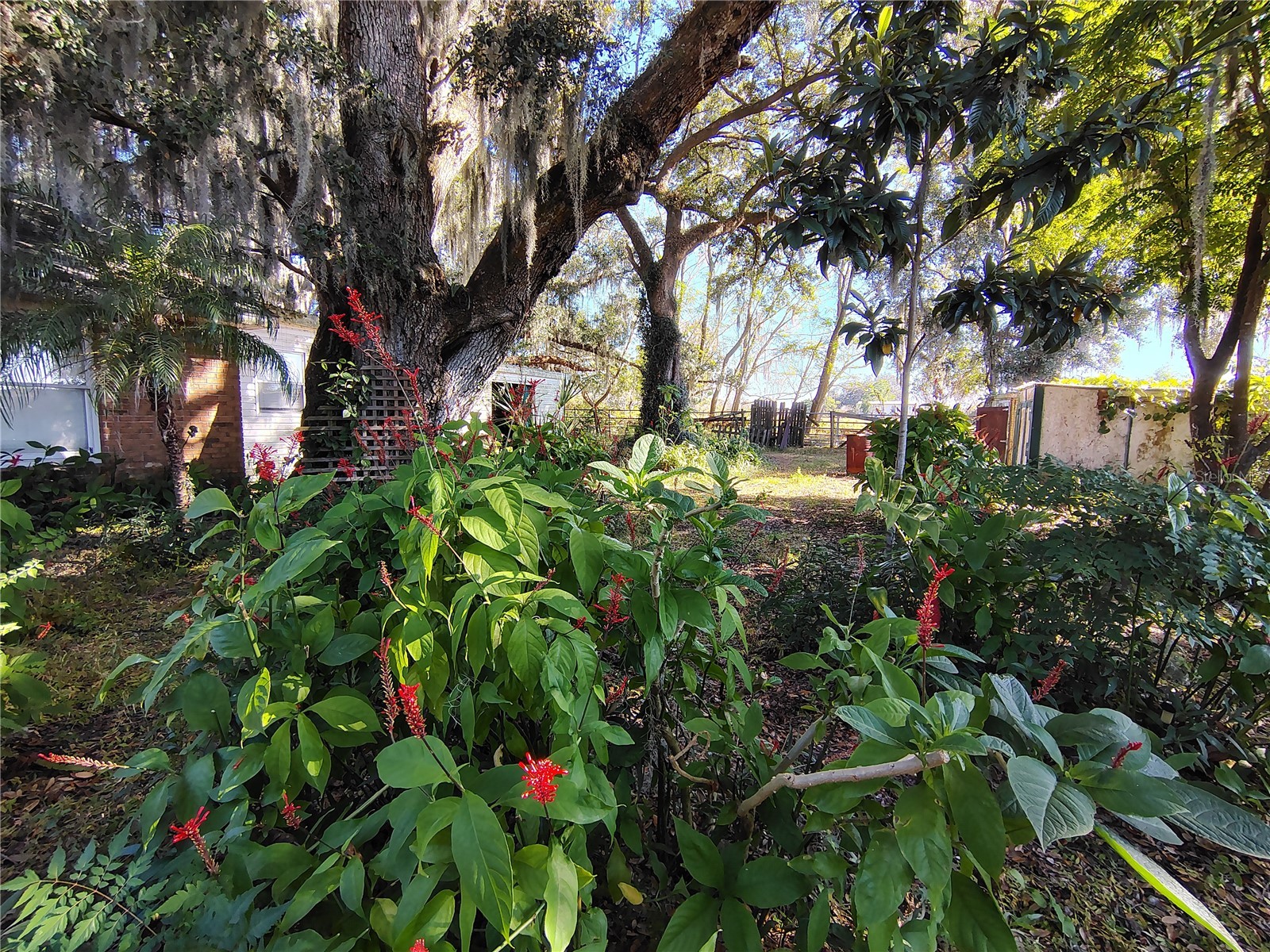 3537 E C 462 Wildwood FL 34785 G5106864 image25