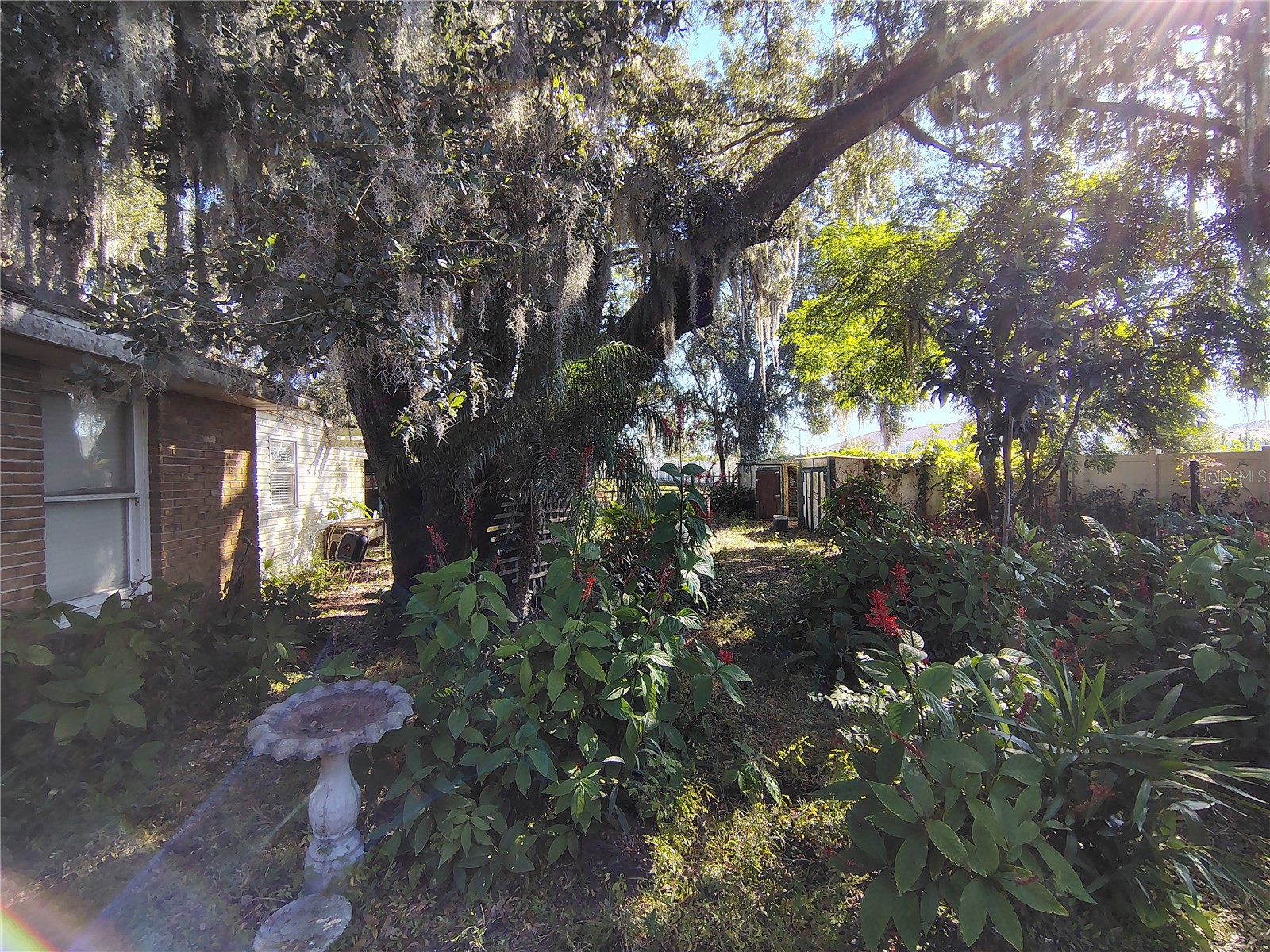 3537 E C 462 Wildwood FL 34785 G5106864 image26