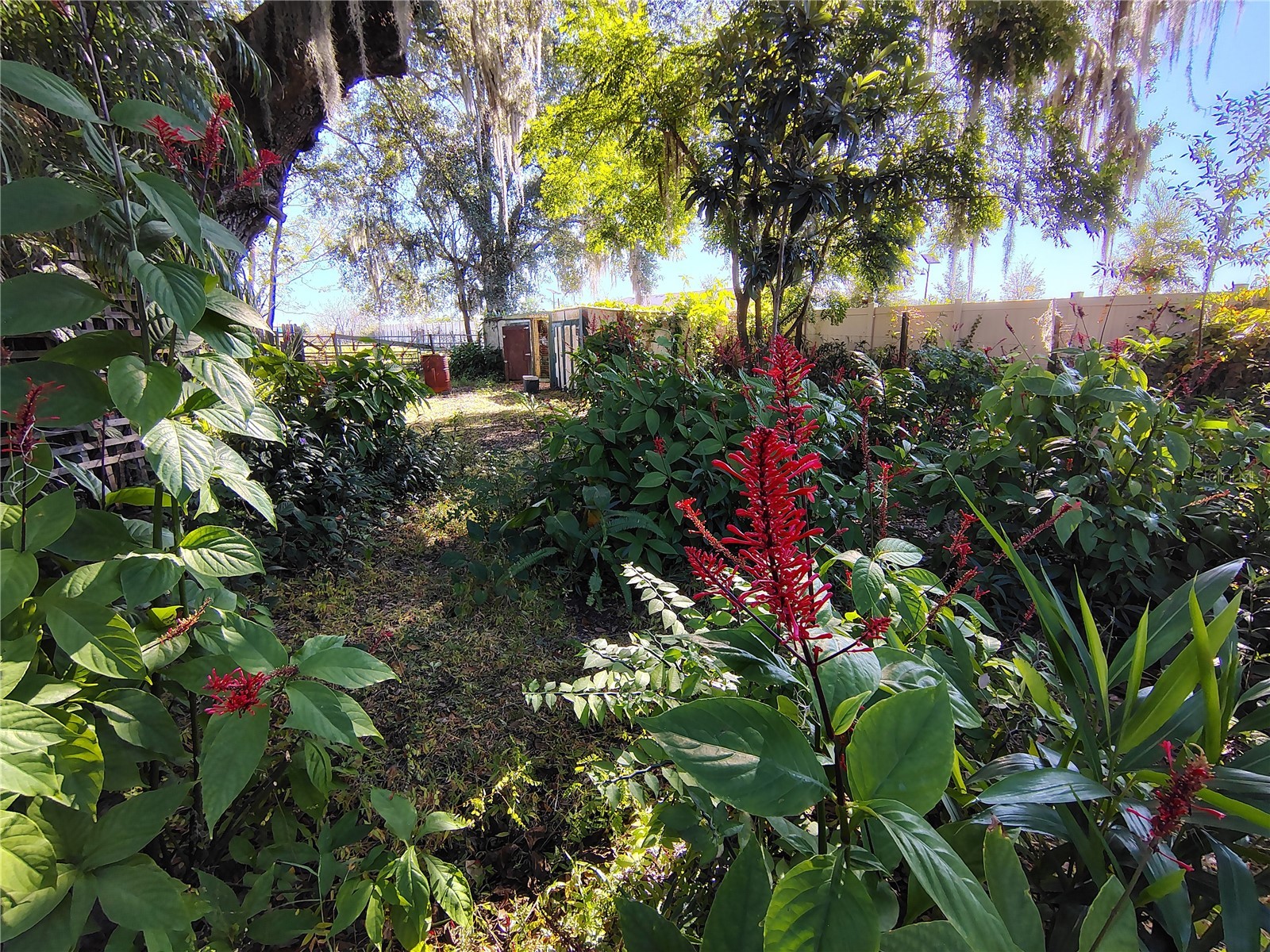3537 E C 462 Wildwood FL 34785 G5106864 image27