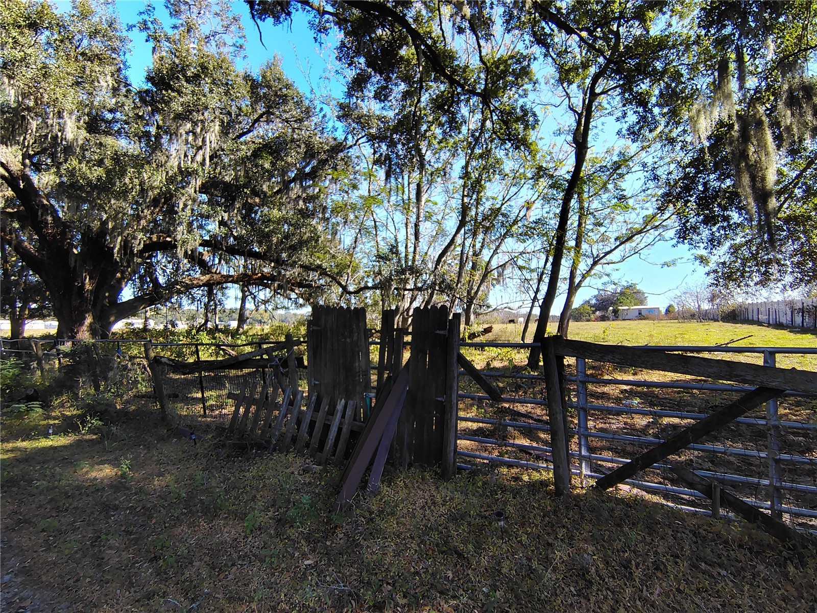 3537 E C 462 Wildwood FL 34785 G5106864 image30