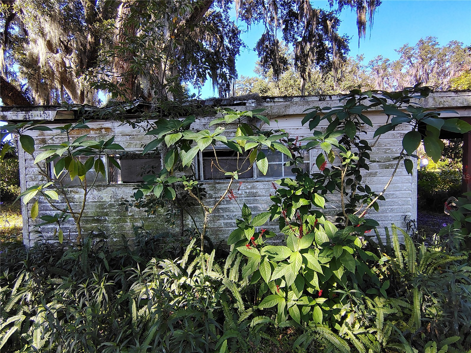3537 E C 462 Wildwood FL 34785 G5106864 image32