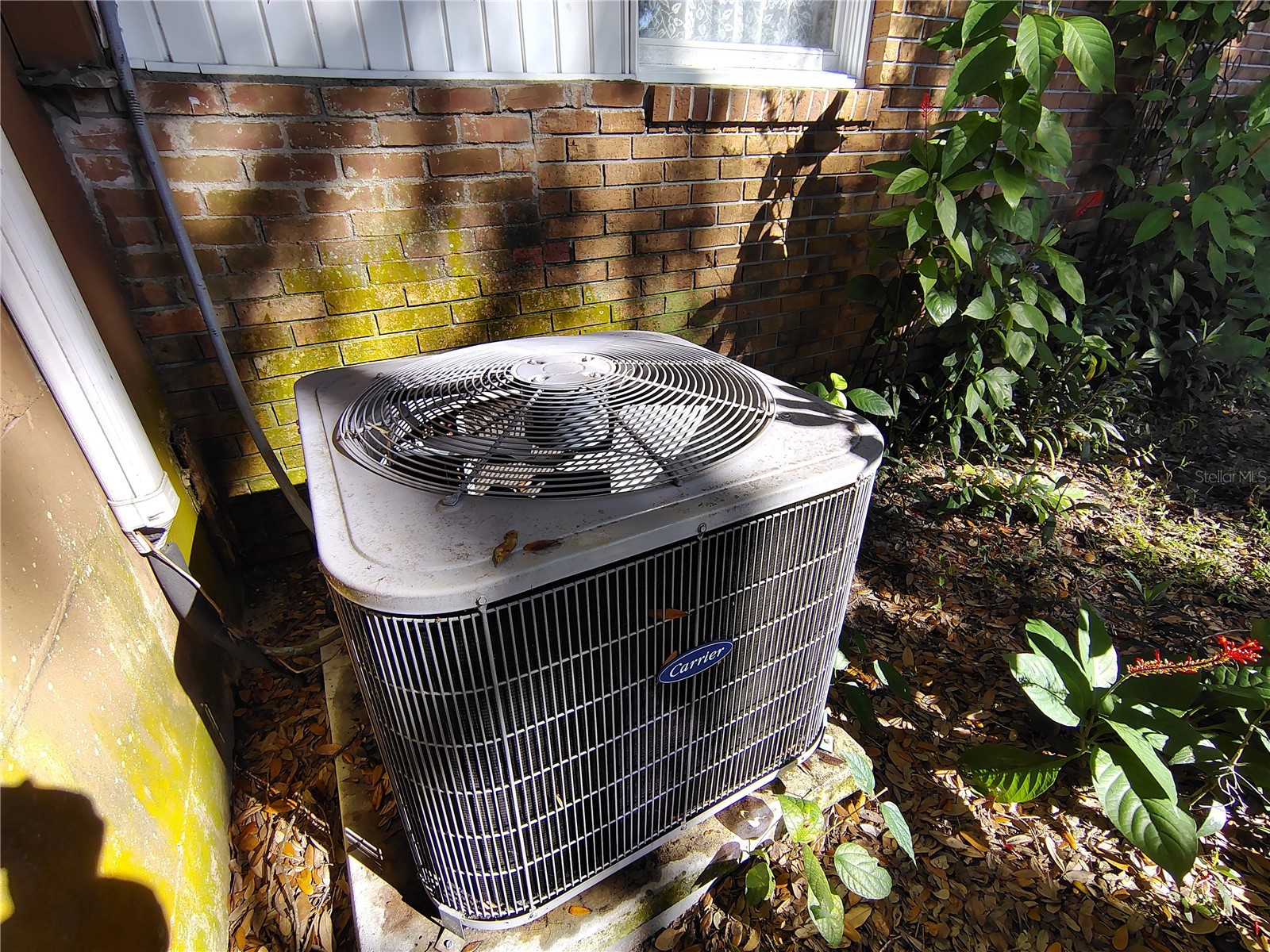 3537 E C 462 Wildwood FL 34785 G5106864 image38