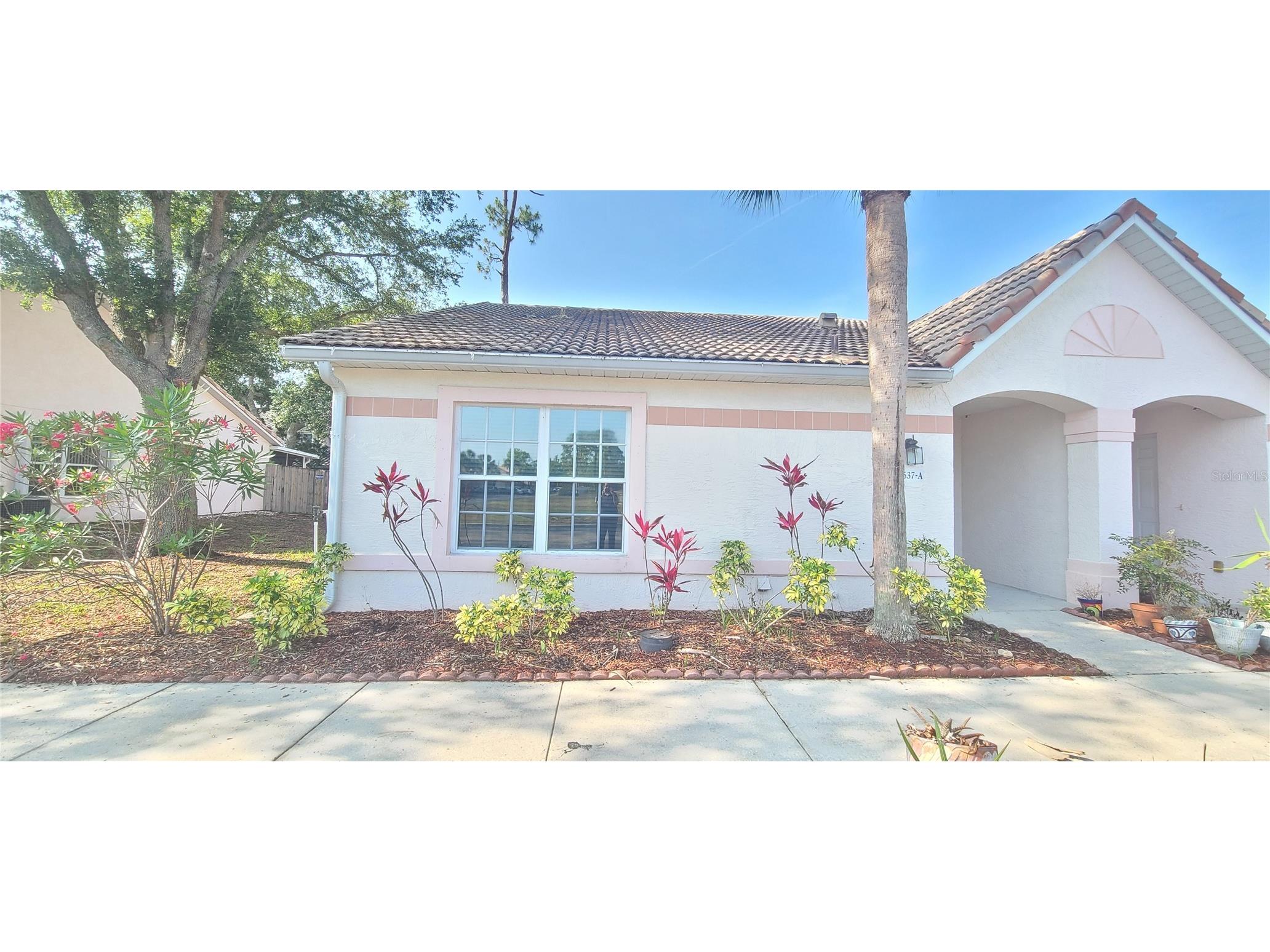 3537 Forest Branch Drive #A Port Orange FL 32129 O6414648 image1