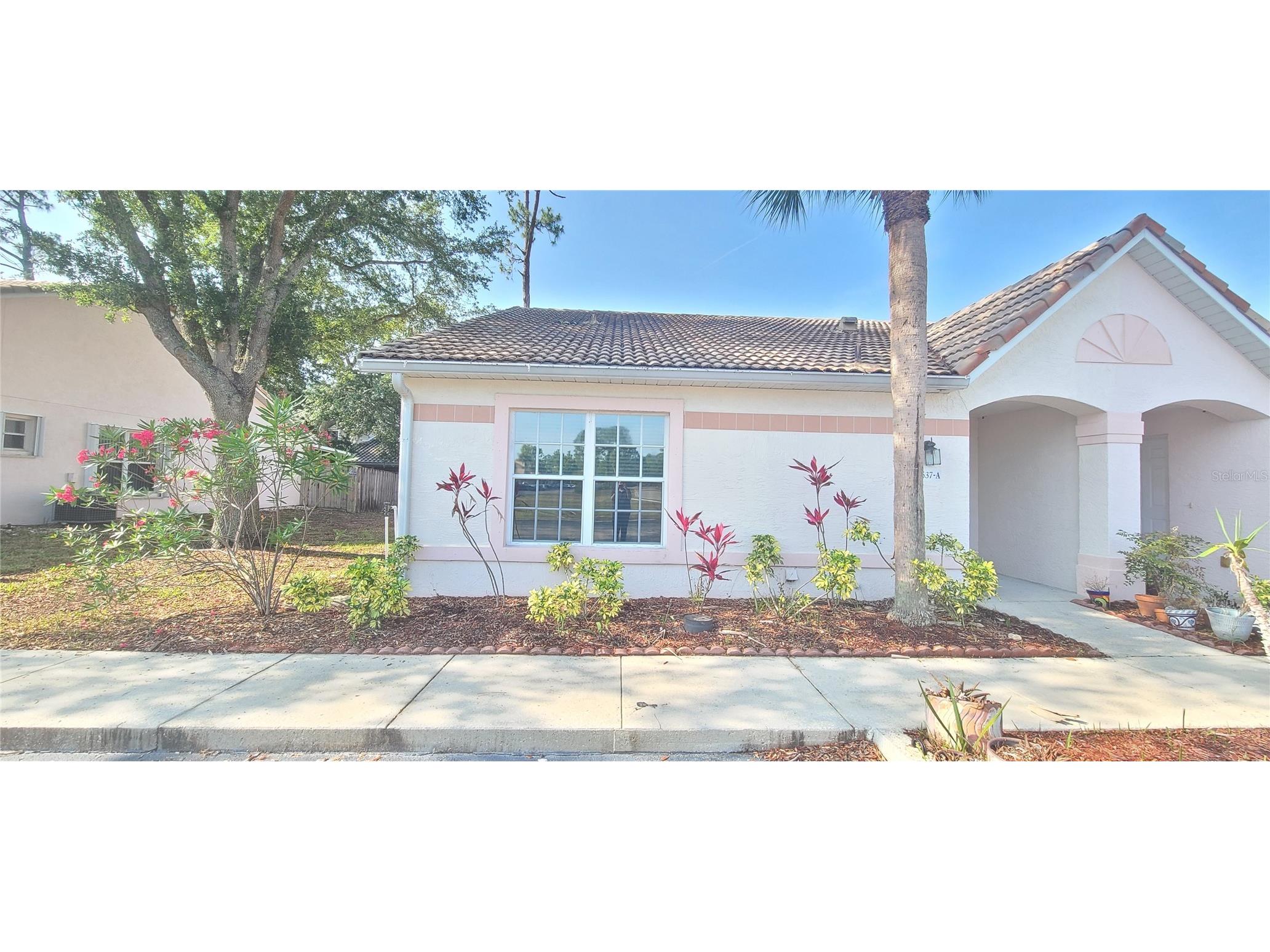 3537 Forest Branch Drive #A Port Orange FL 32129 O6414648 image22