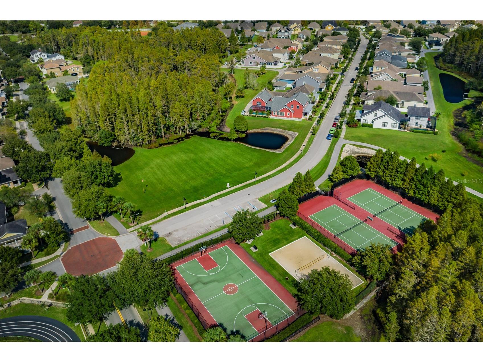 3537 Pickerell Place New Port Richey FL 34655 TB8505726 image38