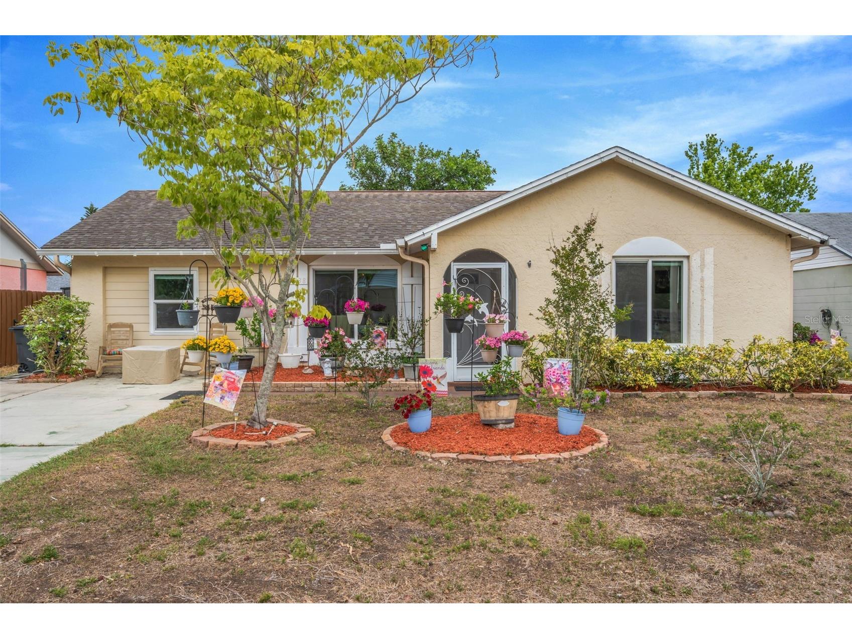 3538 Monte Rio Street New Port Richey FL 34655 TB8499809 image1