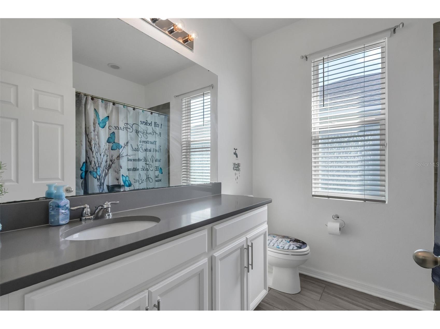 3538 Vega Creek Drive Saint Cloud FL 34772 O6403928 image25