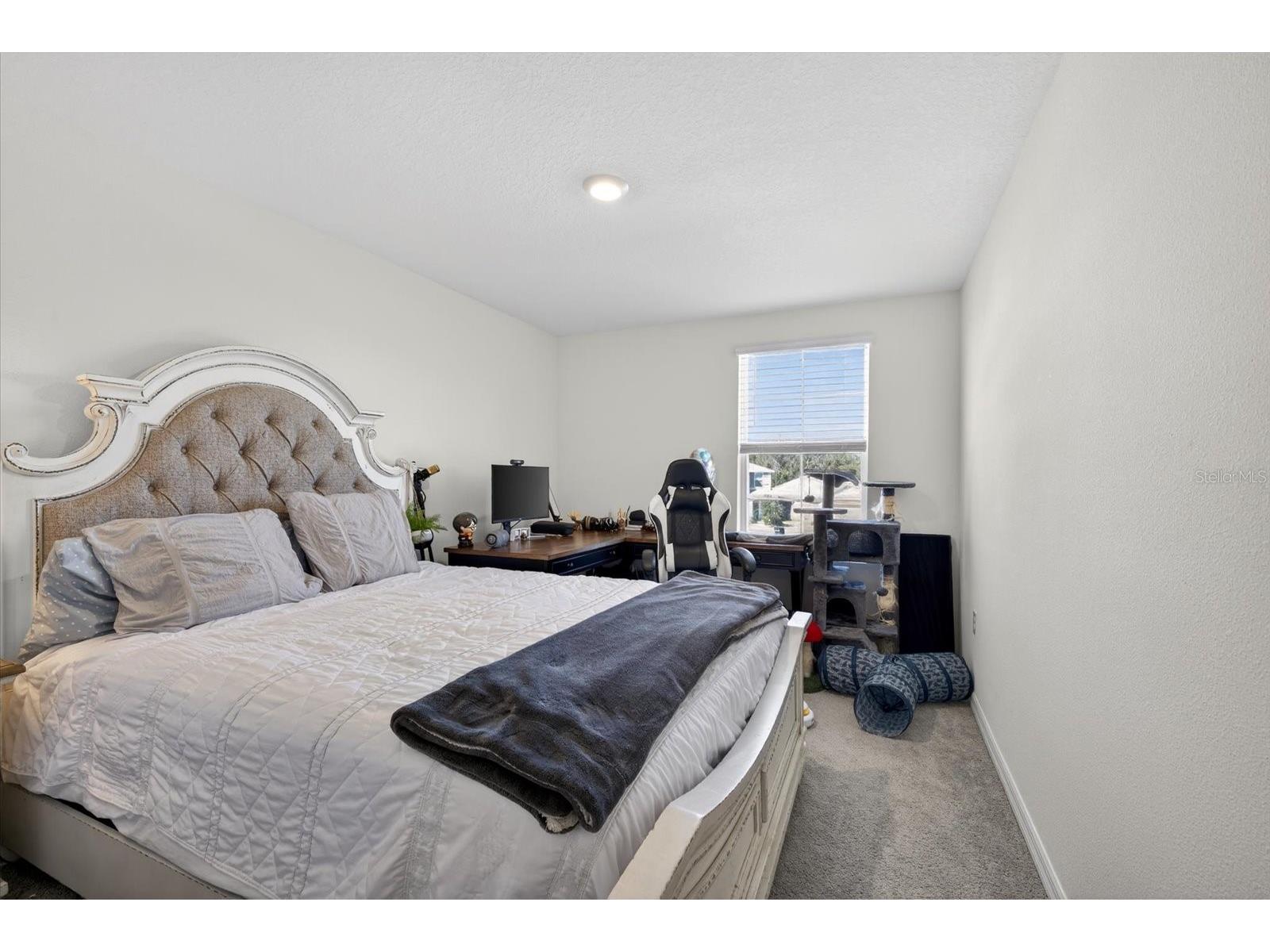 35386 Spruce Knob Court Dade City FL 33525 TB8481014 image28