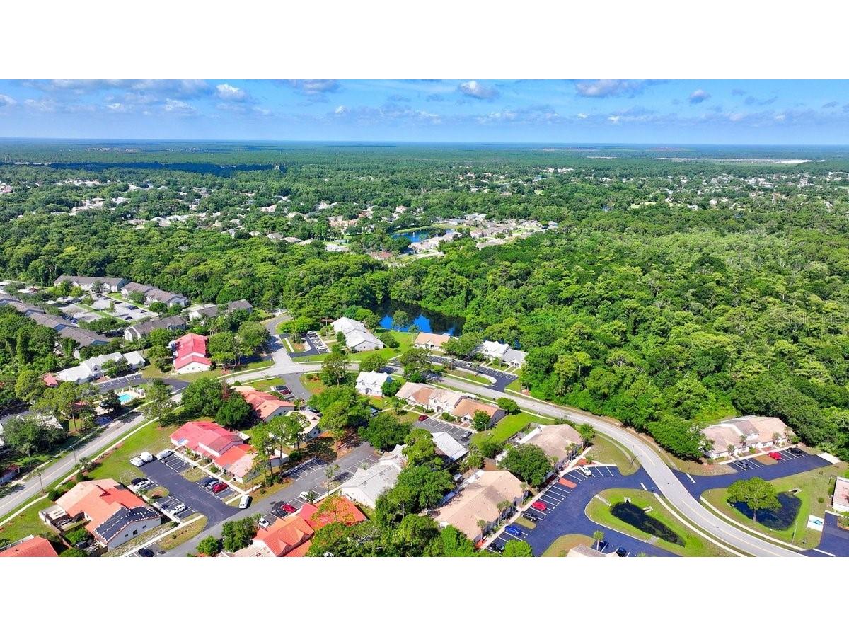 3539 Forest Branch Drive #B Port Orange FL 32129 V4950046 image41