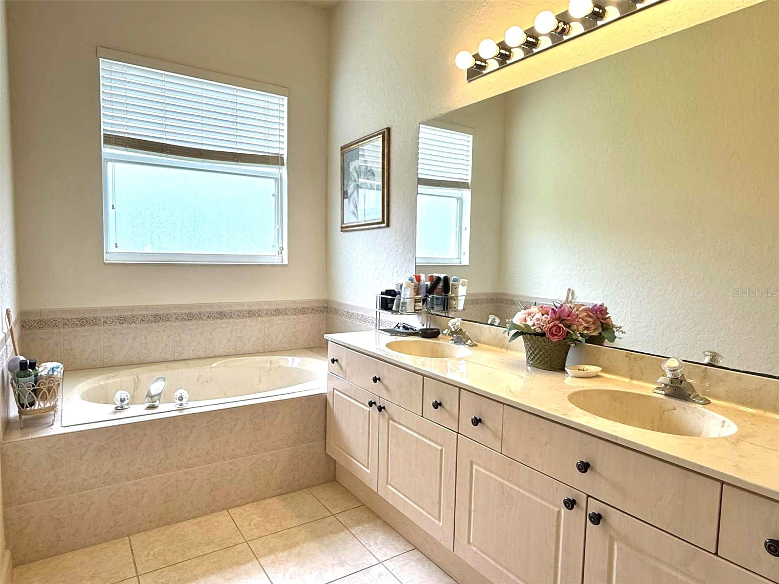 3539 Maple Ridge Loop Kissimmee FL 34741 O6386171 image26