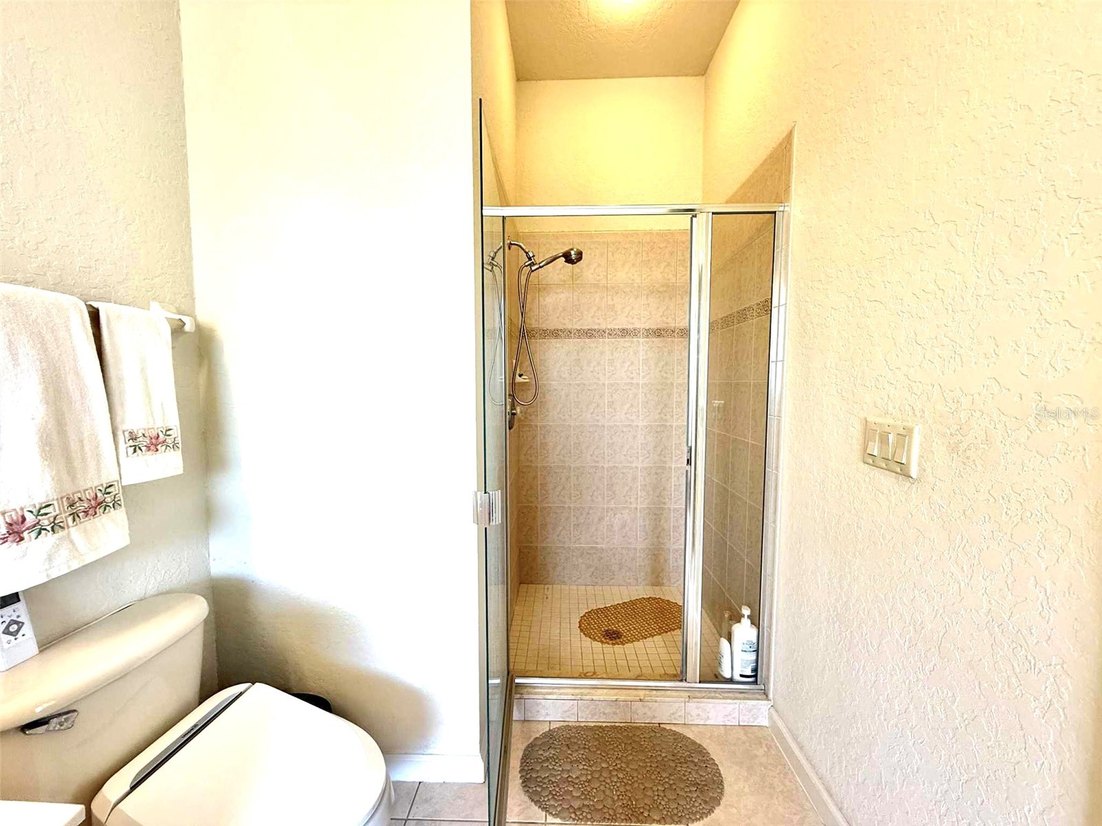 3539 Maple Ridge Loop Kissimmee FL 34741 O6386171 image27